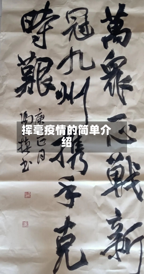 挥毫疫情的简单介绍-第2张图片