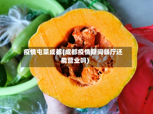 疫情屯菜成都(成都疫情期间餐厅还能营业吗)-第1张图片