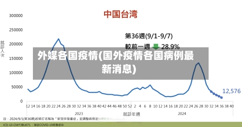 外媒各国疫情(国外疫情各国病例最新消息)-第1张图片