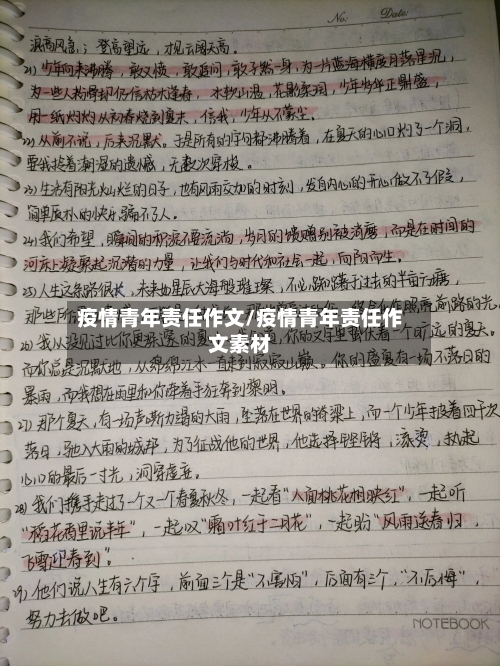 疫情青年责任作文/疫情青年责任作文素材-第2张图片