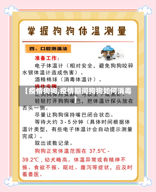 【疫情狗狗,疫情期间狗狗如何消毒】-第1张图片