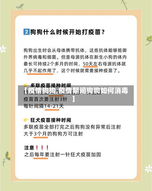 【疫情狗狗,疫情期间狗狗如何消毒】-第3张图片