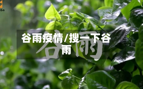 谷雨疫情/搜一下谷雨-第1张图片