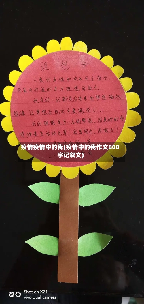 疫情疫情中的我(疫情中的我作文800字记叙文)-第1张图片