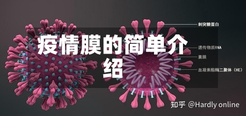 疫情膜的简单介绍-第2张图片